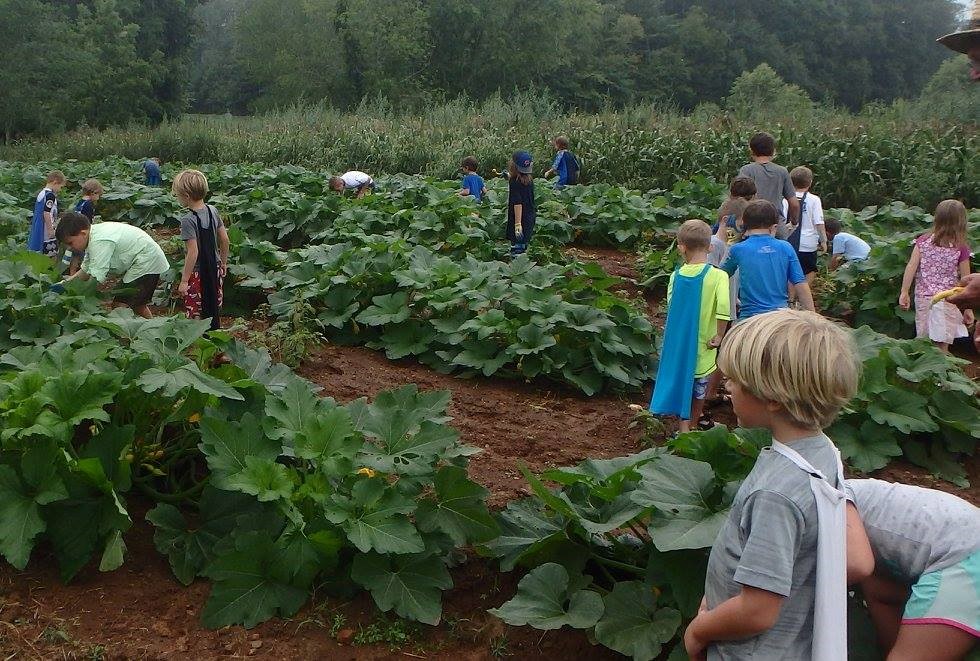 Day Camp_Heroes in the Garden